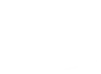 Best Bully Sticks