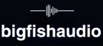 Big Fish Audio