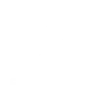 BurgerFi