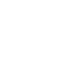 DC Shoes