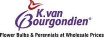 K. Van Bourgondien & Sons