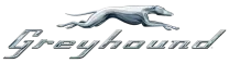 Greyhound