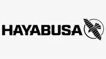 Hayabusa