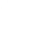 K-Swiss