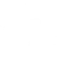 Mindy Maes Market