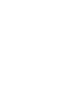 Naturalizer