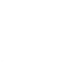 Only Natural Pet