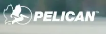 Pelican