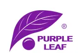 Purple Leaf