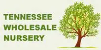 TN Nursery